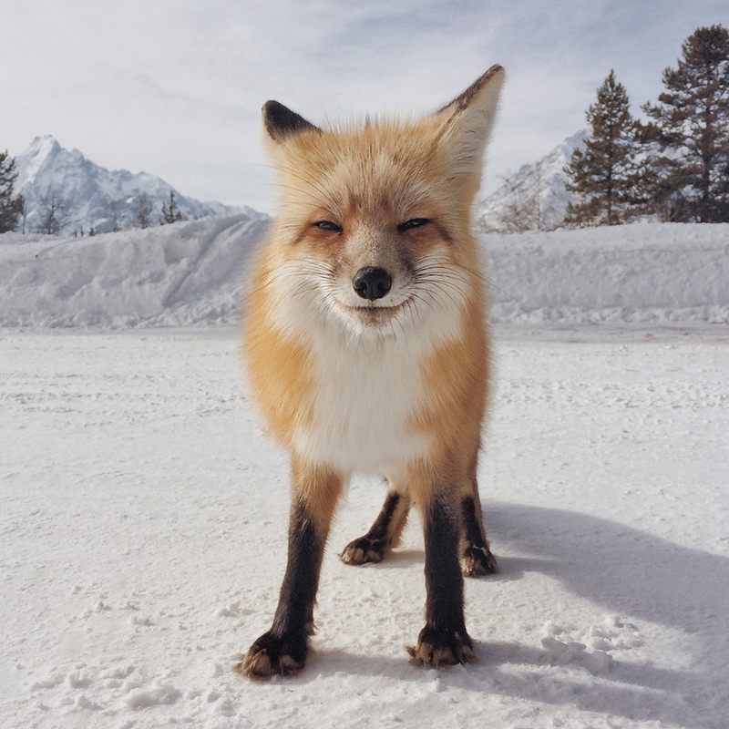 Illustration for article titled These Are Some of the Most Amazing iPhone Photos of the Year